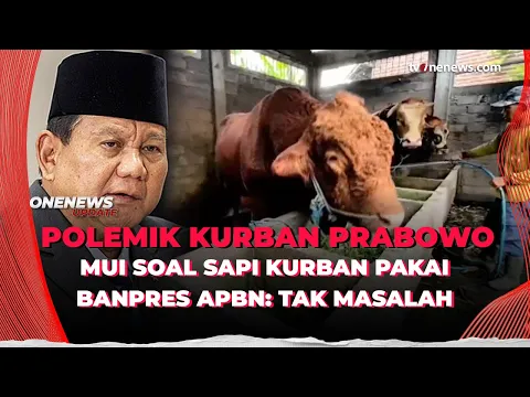 Sapi Kurban Prabowo Pakai Banpres APBN Tuai Polemik, Ini Penjelasan MUI