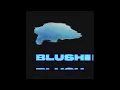 Jasper Tygner - Blush (Visualiser)