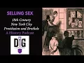 Selling Sex 19th Century New York City Prostitution Brothels and Sporting Culture