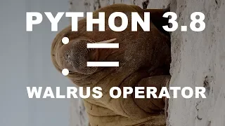 What is Python s 3 8 Walrus Operator and How Does It Work