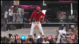 terry gs performance olic4