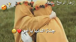 جنة دنيا يا أمي حالات وتس اب عن الام بدون موسيقى ياملاك قلبي يا أمي 