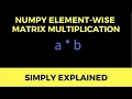 Element Wise Multiplication in Python Numpy