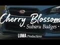 Cherry Blossom - Subaru Badges