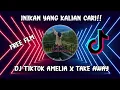 FREE FLM!!! DJ AMELIA X FERGUSO X TAKE AWAY VIRAL TIKTOK TERBARU 2021