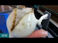 Simulated Cystectomy using Simsei Models with VeriSim Tissue