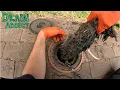 Download Lagu Blocked Drain 1036