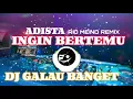DJ INGIN BERTEMU - ADISTA || RIO MEIND REMIX