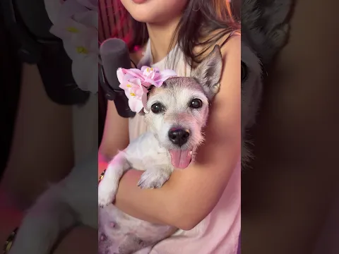 Who’s that wonderful girl