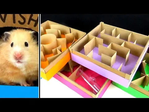 5-niveau labyrint til hamstere. Hvem er den bedste?