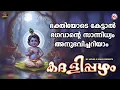 Download Lagu ഭക്തിയോടെ കേട്ടാൽ ഭഗവാൻ്റെ സാന്നിധ്യം അനുഭവിച്ചറിയാം | Sree krishna Songs Malayalam MP3