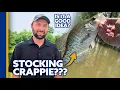 Crappie in Your Pond Why It s Usually a BAD Idea Pond Stocking Advice