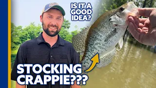 Crappie in Your Pond Why It s Usually a BAD Idea Pond Stocking Advice