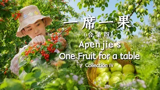Apenjie’s “One Fruit for a Table” Collection IV【滇西小哥】