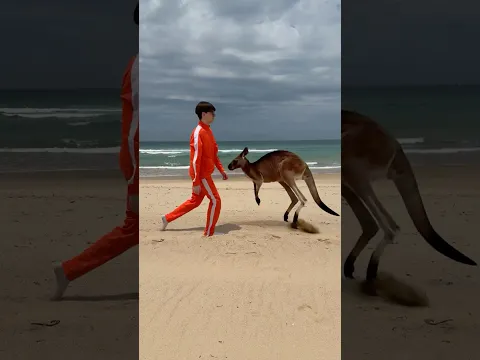 Catching Australian Beach Worms