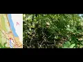 Orienteering Mogiliv leeches Race Dnipro Mogiliv Ukraine 16 08 2026