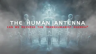THE HUMAN ANTENNA
