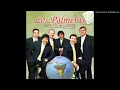 Perra-Los palmera
