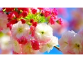Download Lagu 🌷 Giovanni Marradi - Just For You