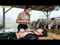 Download Lagu Cunning Secretary Drugs The Chairman, But The Lucky One Is The Bold Lady CEO - CineDrama