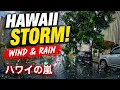 Hawai i Storm Drive Strong Winds Rain