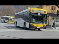 Metro Tasmania buses around Glenorchy and Rosetta