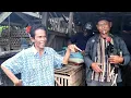 Download Lagu PASAR AYAM BANGKOK!!! pasar ketanggungan Brebes Jawa tengah 