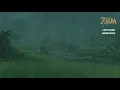 Captured Memory Walkthrough ZELDA S AWAKENING Special Final Memory