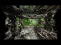 Max Cooper - Forgotten Places - Official Video by Jonk / Xander Steenbrugge / Nick Motion
