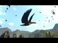 Bird Flock Toucan 2023 for Unity