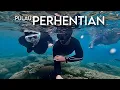 Download Lagu Keindahan bawah laut Pulau Perhentian.