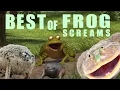 Download Lagu Best of frog screams (my selection)