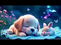 Sin anuncios: Piano para dormir profundamente: calma la depresión, alivia el estrés y alcanza estado