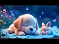 Download Lagu Geen advertenties – Deep Sleep Piano om depressie te kalmeren, stress te verlichten en een vredige g