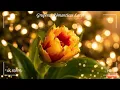 Puras Románticas de Conjunto Primavera 🌹 Baladas de Amor para Recordar