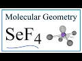 SeF4 Molecular Geometry Bond Angles and Electron Geometry