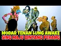 Download Lagu Togog mbilung ketemu poro putu pandowo langsung pucet ki dalang seno nugroho