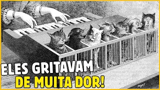 PIANO DE GATOS: O INSTRUMENTO MUSICAL MAIS CRUEL DA HISTÓRIA