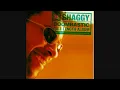 Shaggy - Boombastic (album version)