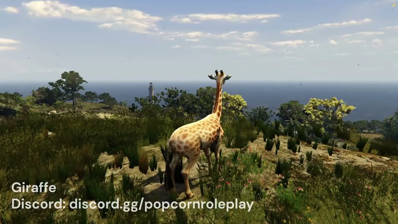 Giraffe