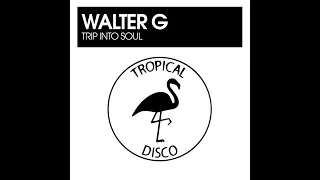 walter g trip into soul original mix tropical disco records