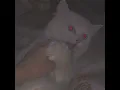 STUFF - ПАРИЖ (slowed)