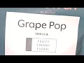Grape Pop HABITAT BY KLUTCH