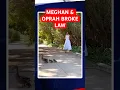 Download Lagu Meghan Markle en Harry ontmaskerd door Oprah Winfrey vanwege horror-eendenverhaal dat volgens cri...