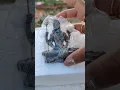 lord Shiva statue,bought from Amazon