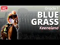G1 Blue Grass Analysis 2026 Kentucky Derby Prep Keeneland DRF Saturday ROTD