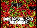 Boris Brejcha - Spicy (feat. Ginger)