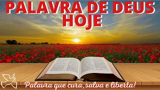 Palavra de Deus para mim hoje | Tudo é força mas somente Deus é poder (Mt 4,12-17.23-25)