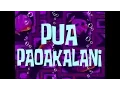 Download Lagu SpongeBob Music: Pua Paoakalani (b)