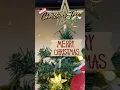 🛒 https://vt.tiktok.com/ZSH76GMhBFAfn-y9CWD/